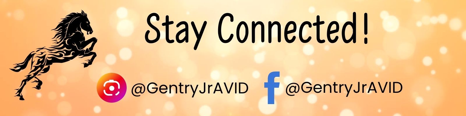 Stay Connected! Instagram and Facebook GentryJrAVID